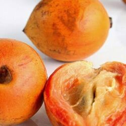 Agbalumo/Udara (10x80g)