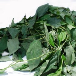 Utazi Leaf (1kg)
