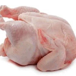 Frozen Hard Chicken Whole 10Kg